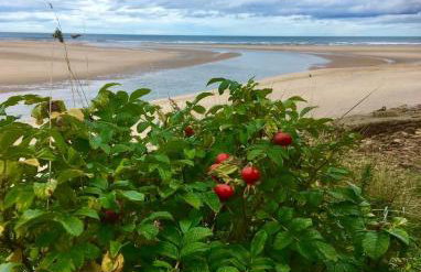 Riverscape Northumberland - Foto 25