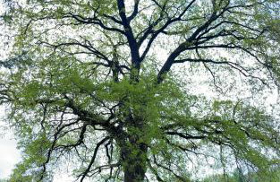 Dom w Beskidzie - Foto 67