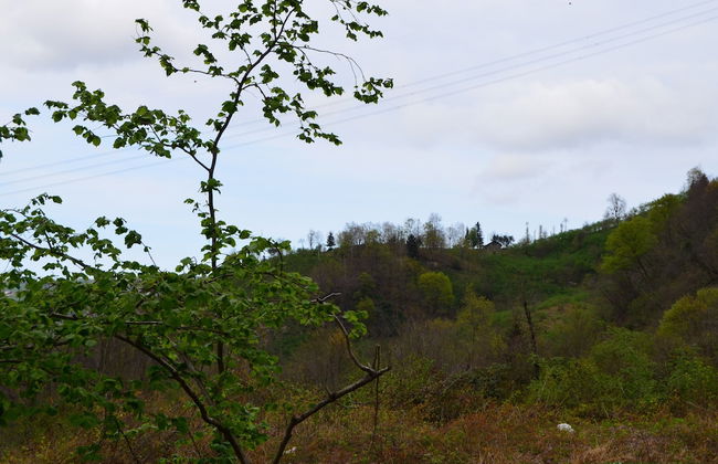 Bigoşa Bungalov - Foto 35