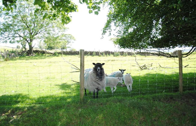 Brambles Farm Peak District Lodge - Foto 40