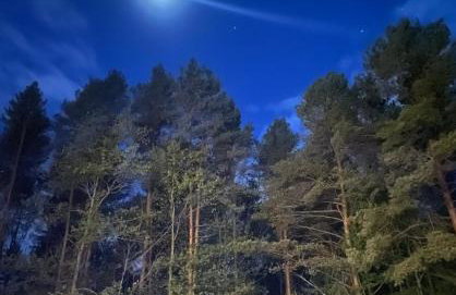 Willa Abra Cadabra - Foto 16