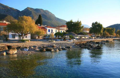 Hotel Theasis - Foto 14