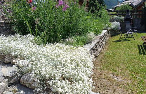 Sauze d'Oulx ciabot la garitüla with garden - wifi- close to the chairlift - Photo 43