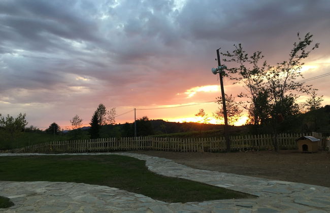 Ora Dag Evleri - Photo 23