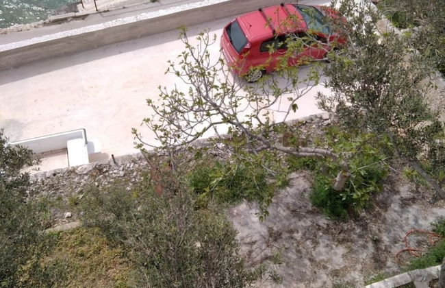 Ivan - 15 m From Beach - A3 - Photo 27