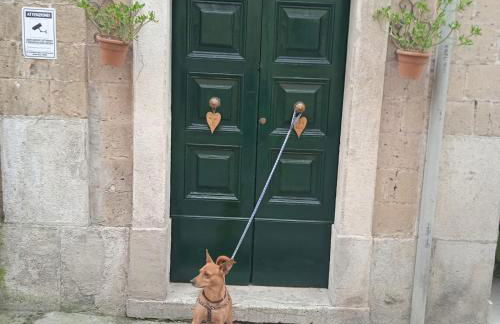 Casa di Paola a Tufo - Photo 16