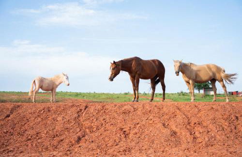 6BR Rural Retreat Private Property #Skelly - Foto 68