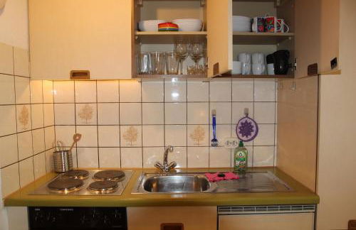 Steiert Panorama Apartments Todtnau - Foto 64