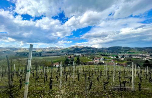 Agriturismo Poderi Zunino - Foto 64