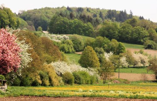 Ferienwohnung Riedblick Süd-Ost - Foto 7