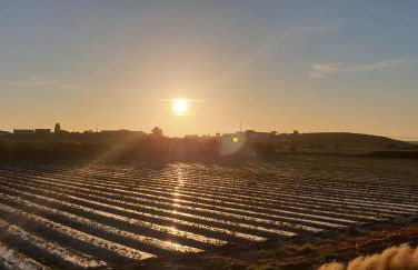 Comporta House - Foto 45