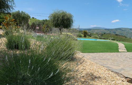 Casa Da Formiga - Foto 17