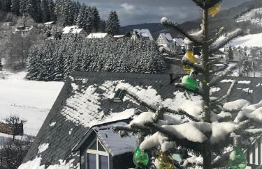 Haus Westfeld - Foto 1