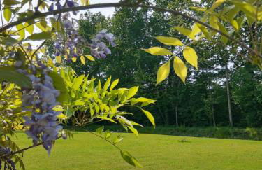 Casa Vacanze Riviera del Brenta - Photo 19
