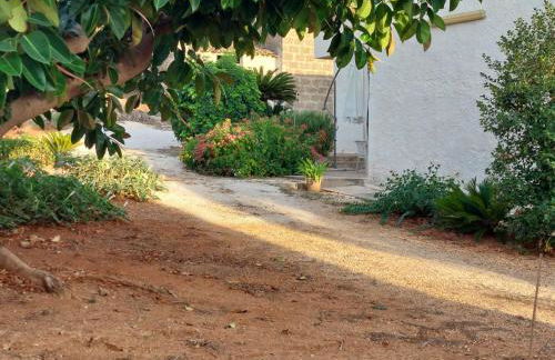 Rocca tagliata Marsala - Foto 39