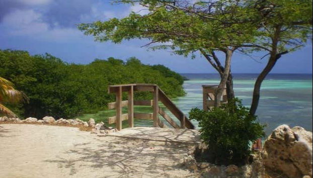 Parcourir le sud d'Aruba