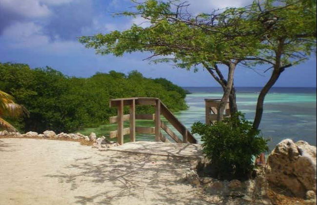 South Aruba Guided Tour - Foto 1