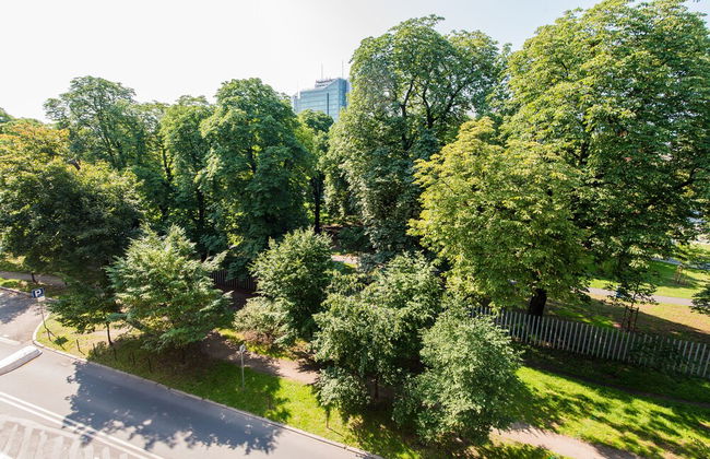 Bliss Apartments - Photo 59