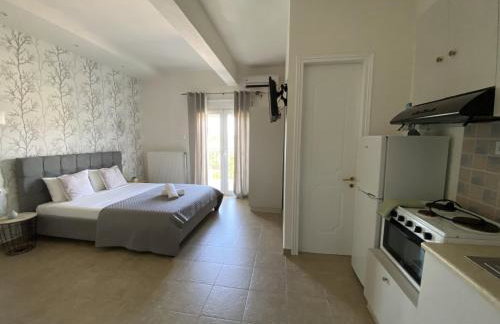 Ai Nies Studios - Foto 37