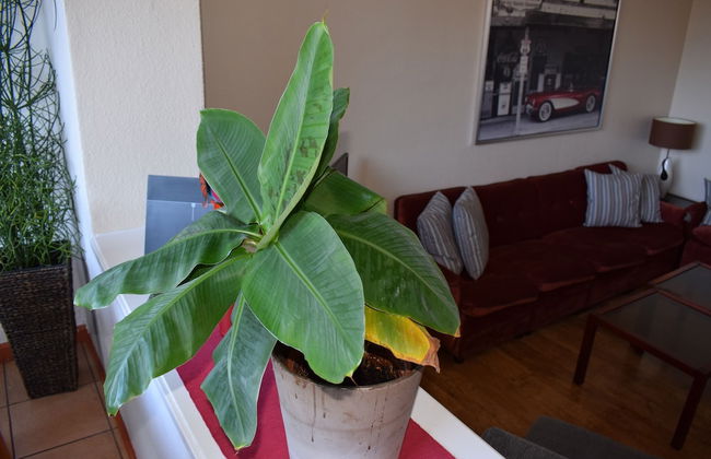 Messewohnung Augusta - Foto 12