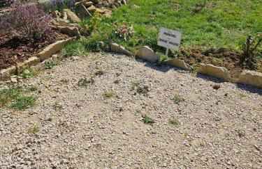 Serge'House - Foto 10