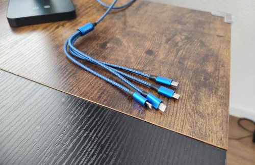 100m zum Ulmer Münster: 57m² Wohnung an der Blau - Foto 18