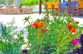 Pagaseon Rooms and Apartments - Foto 28