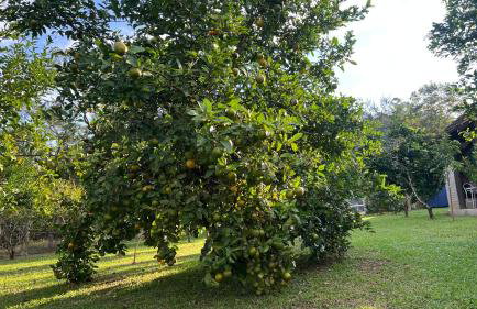 Pousada Família Pein - Foto 25