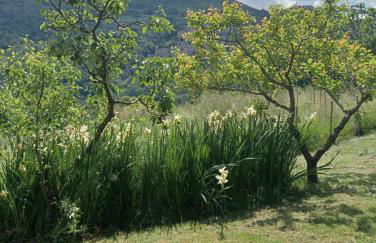 ai Confini - Foto 15