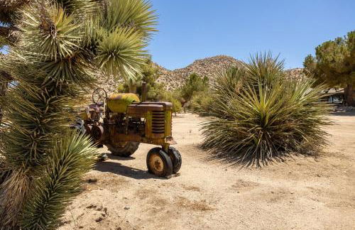 3 Bedroom Ranch -Hot Tub -Walk to P&H and Red Dog - Foto 10