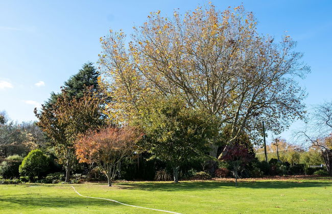 Amuri Villas - Foto 24