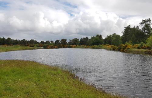 Heathfield Highland Estate - Foto 27