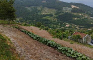 A Casa da Japoneira CB - Foto 80