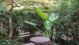 Forum Apartment - Foto 2