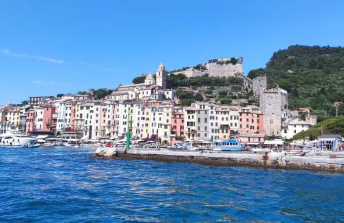 Rondine di Mare - Foto 28