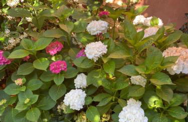 Tuscany Location - Foto 3