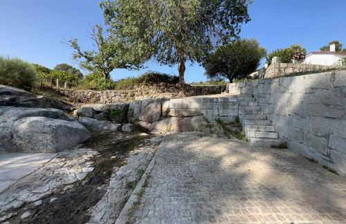 Quinta das Covas - Trancoso - Foto 20