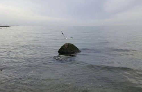 Meerblick Ferienwohnung - Foto 24