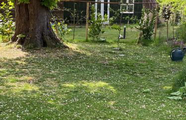 Tiny home in Grade 1 listed church garden - Photo 3