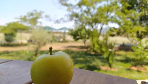 Ktima Anastasia - Foto 3, Garden, Garden view