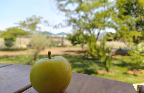 Ktima Anastasia - Foto 3