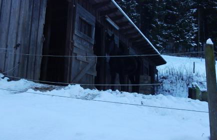 Gottschlich Apartment Schmallenberg - Foto 13