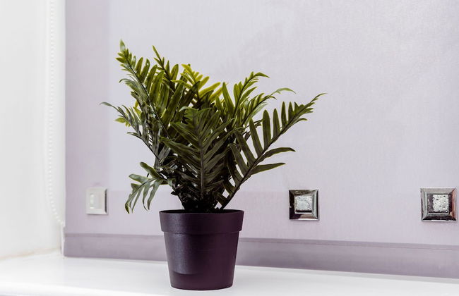 Willow Chalet - Foto 63