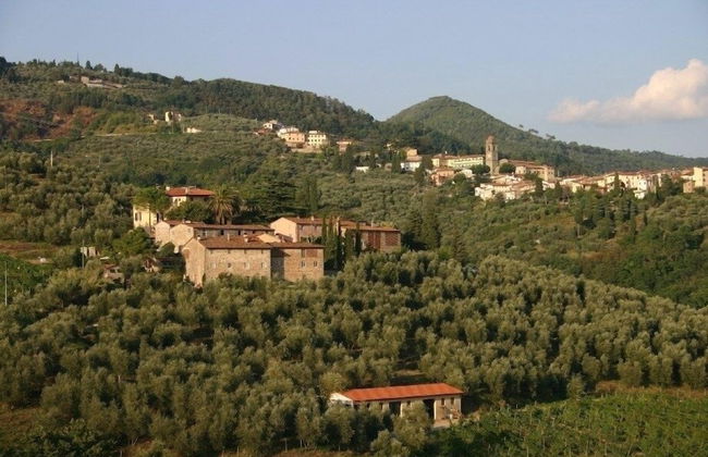 Fattoria di Fubbiano - Photo 25