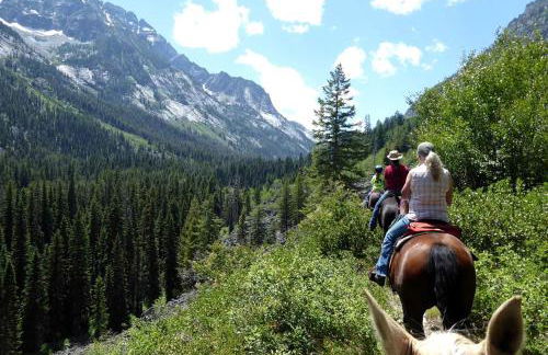 Elegant Mountain Cabin Rental in Bitterroot National Forest, Montana - Foto 6