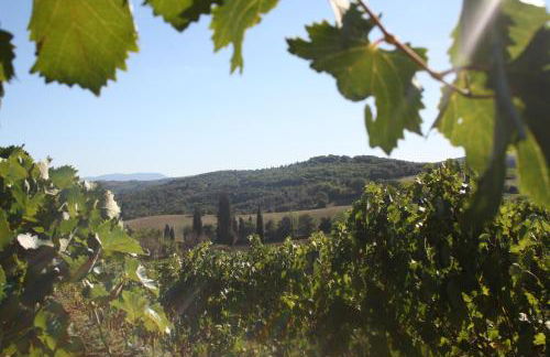 Fattoria San Donato - Foto 62