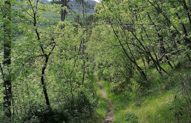 Luxury Three-bedroom Apartment With Amazing Overlook at the sea - Foto 43