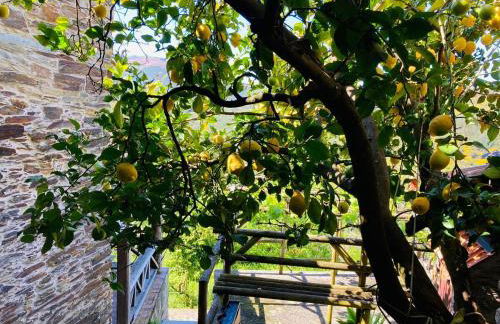 Casa do Ferreiro - Bocado Arganil - Foto 44