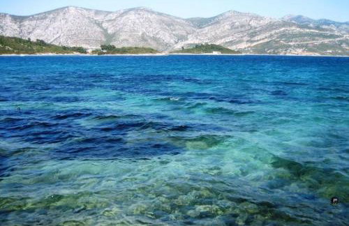 Apartment Ante - Foto 16