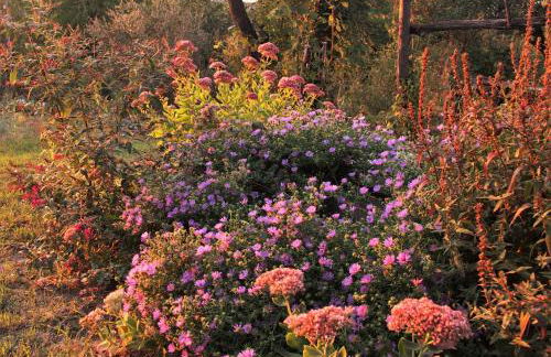 La Traversina - Agriturismo di Charme - Foto 57